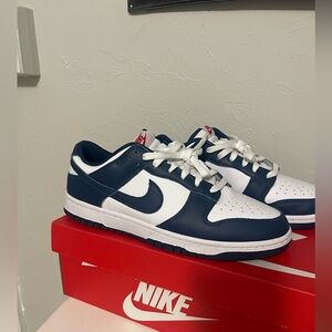 Valerian blue nike dunk size 11